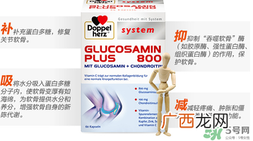 doppelherz德国双心软骨素说明书_用法用量