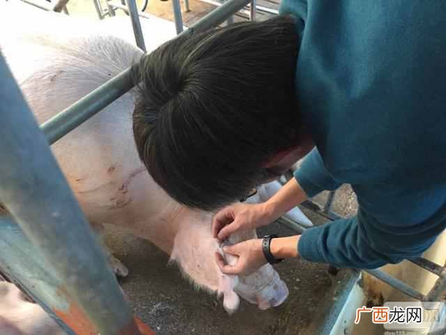 趋之若鹜的褒义词 趋之若鹜是什么意思
