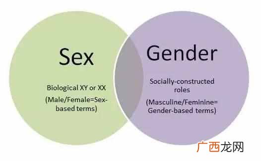 sex应用 sex什么意思英文