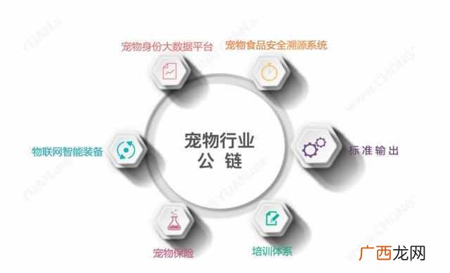 bone链的意义是什么 bone链是什么意思