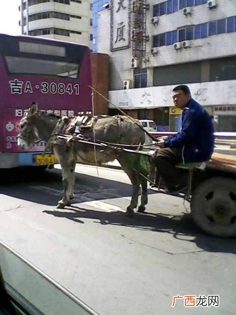 尕心疼啥意思 尕是什么意思