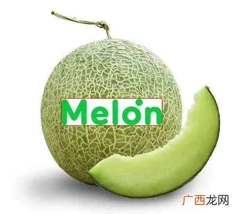 melon是什么手机 melon是什么意思中文翻译