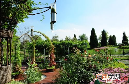 绿植花卉养护员培训 家庭花卉养护师就业