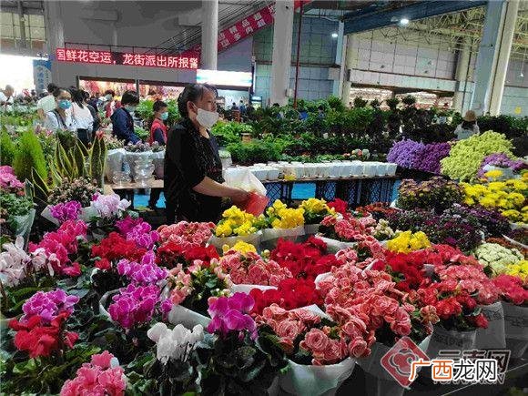 农村大集花卉市场 昆明花卉市场视频