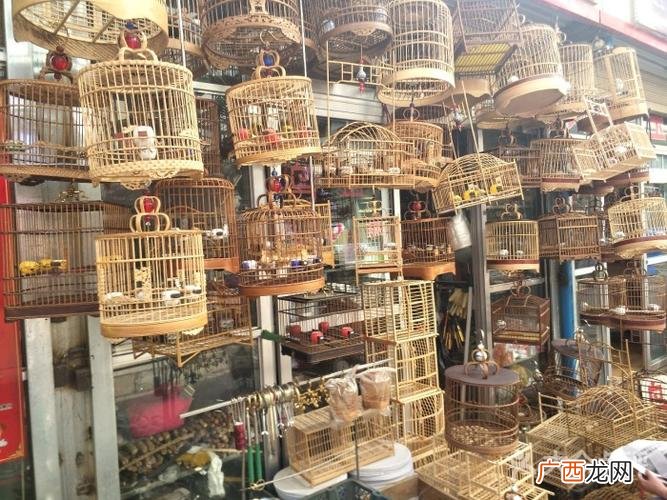 花卉市场 兰州花卉市场最大在哪里