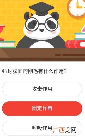 森林驿站蚯蚓腹面的刚毛有什么作用