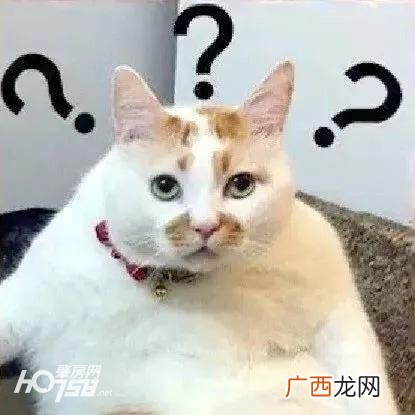 建行装修贷款利率多少,哪个银行个人贷款利率低