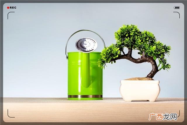 5千元能做什么小本生意,现在投资小见效快行业