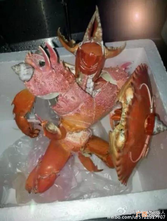 如何用一张图证明你有多无聊 无聊的图片搞笑
