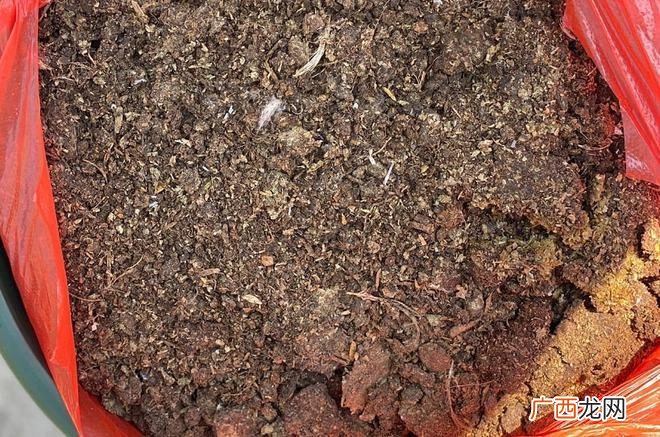 喜酸性植物花卉大全 哪些花卉喜欢碱性土壤