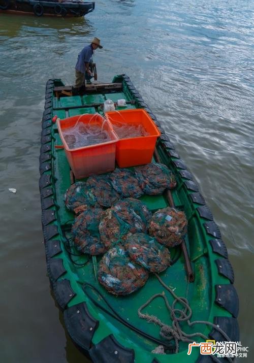 广东虹宝水产开发有限公司 湛江水产食品有限公司