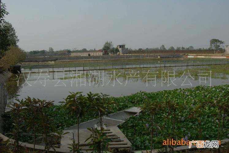 浙江水产养殖都在什么地方 浙江水产养殖户