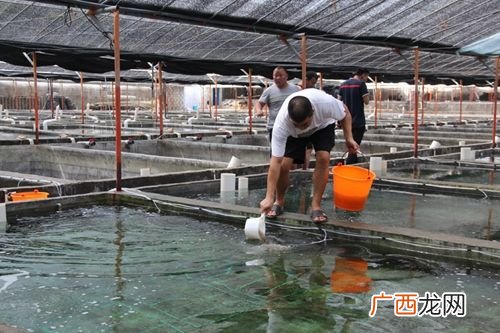 浙江水产养殖都在什么地方 浙江水产养殖户