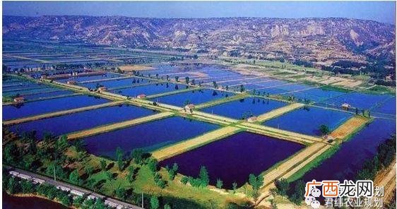 2020年水产冷冻食品博览会 2013湖北水产博览会