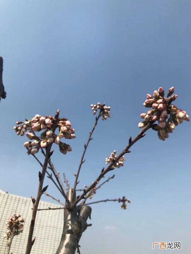 全国免费铺货的童装厂 免费铺货加盟店