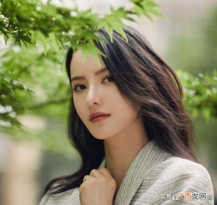 张芷溪感情，张芷溪和金瀚的感情闹剧
