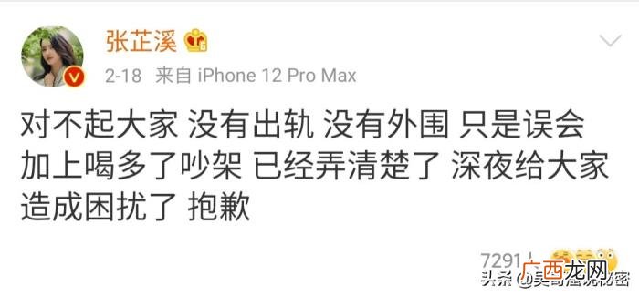 张芷溪感情，张芷溪和金瀚的感情闹剧