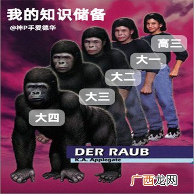 大学生当代进化史微信表情包