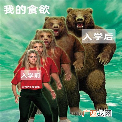 大学生当代进化史微信表情包