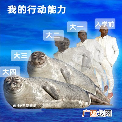 大学生当代进化史微信表情包