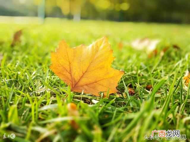 生活拮据是什么意思（当穷困拮据的时候应该怎