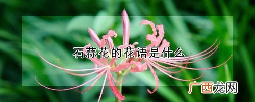 盆栽花卉图片大全集 柠檬花卉图片大全集