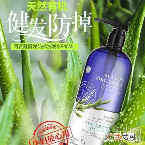 女生脱发用什么洗发水有效（世界六大防脱洗发