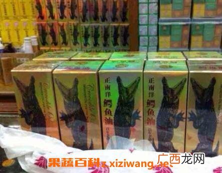 正鳄鱼油的功效与作用