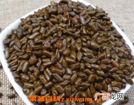 决明子如何减肥 决明子的减肥功效