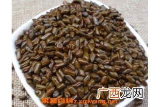 决明子如何减肥 决明子的减肥功效