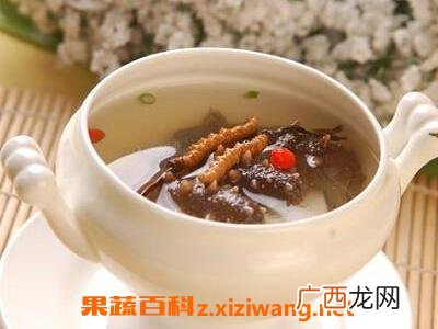 冬虫夏草如何食用 冬虫夏草如何吃最好