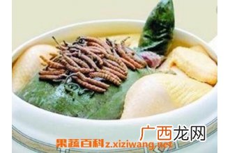 冬虫夏草如何食用 冬虫夏草如何吃最好