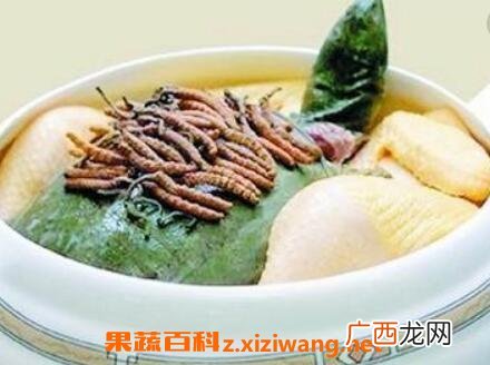 冬虫夏草如何食用 冬虫夏草如何吃最好