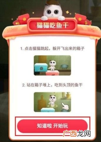 超级星秀猫隐藏任务怎么触发