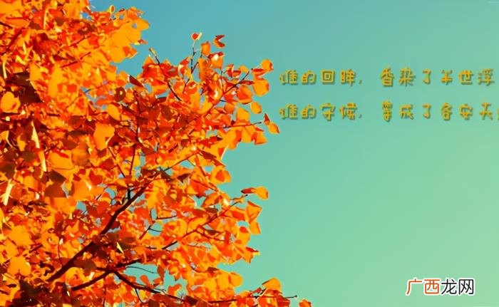 双子座的爱情，双子座感情观精准分析