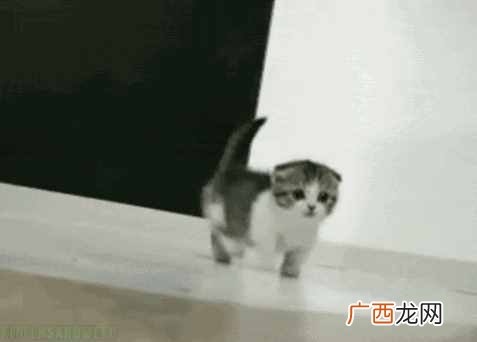 春夏什么颜色鞋子百搭（春夏穿什么鞋子最好搭