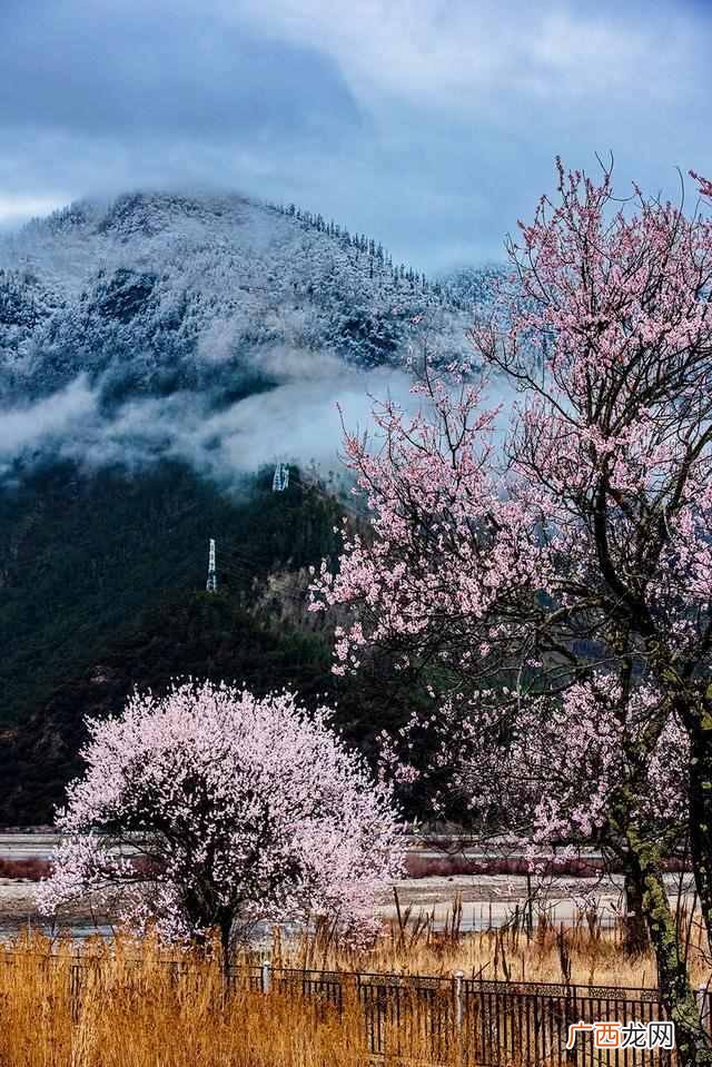 春天看桃花穿什么衣服（去西藏看桃花需要准备