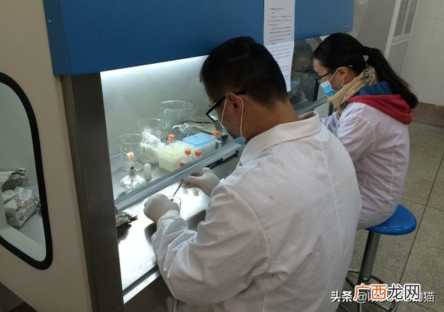 未来最吃香的技术行业,2022年最吃香的行业