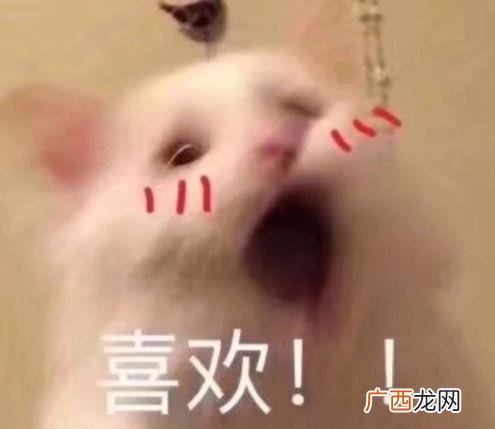 研究生可以去银行贷款吗,研究生可以申请创业贷款吗