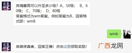 完美世界手游英魂最高可以升至多少级