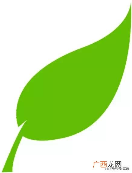 中专教育 17岁初中学历