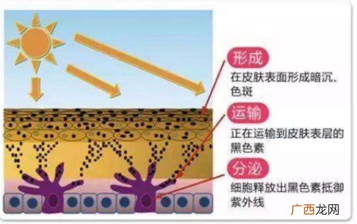 这3种去痘疤的方法有效 快速去痘疤的方法