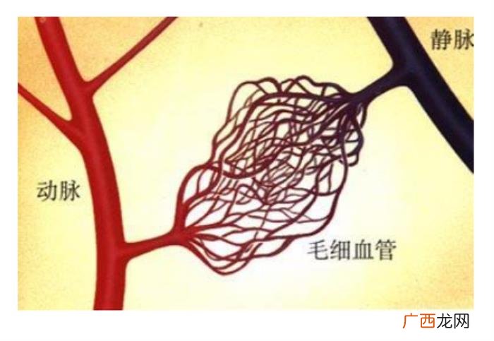 这3种去痘疤的方法有效 快速去痘疤的方法