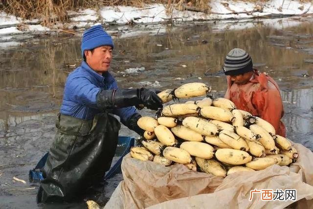 十大不起眼的赚钱行业 2019年最赚钱的投资项目