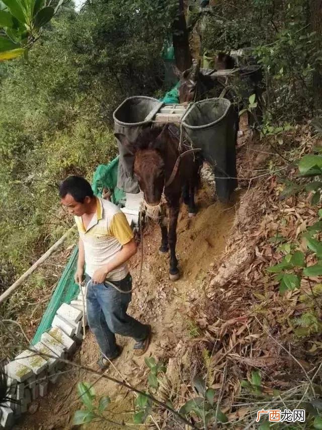 十大不起眼的赚钱行业 2019年最赚钱的投资项目