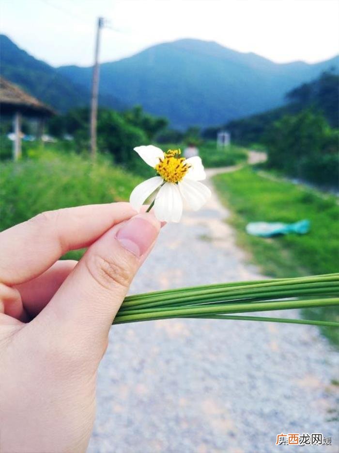 双子为什么很爱摩羯，双子座才算是真正的成长