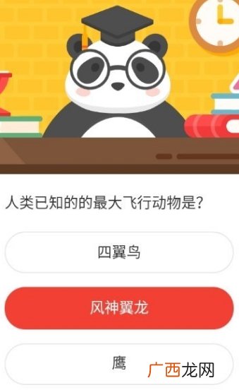 森林驿站人类已知的最大飞行动物是