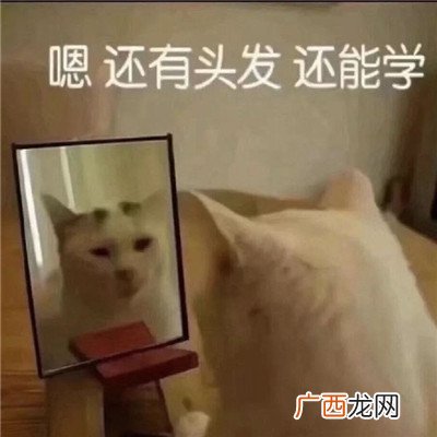加油上学人搞笑经典表情包 ????