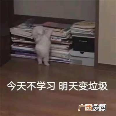 加油上学人搞笑经典表情包 ????