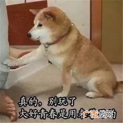 加油上学人搞笑经典表情包 ????